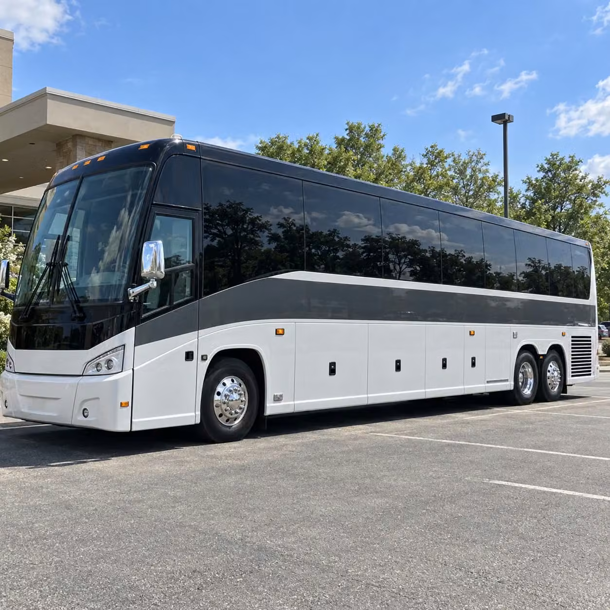 from small groups to full prom courts richardson minibuses have you covered