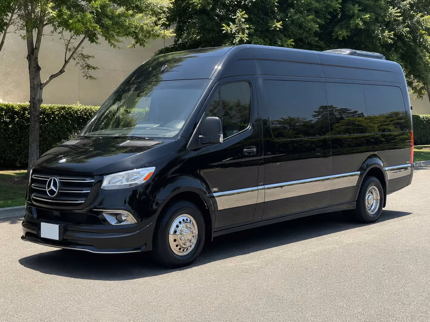 sprinter van with driver